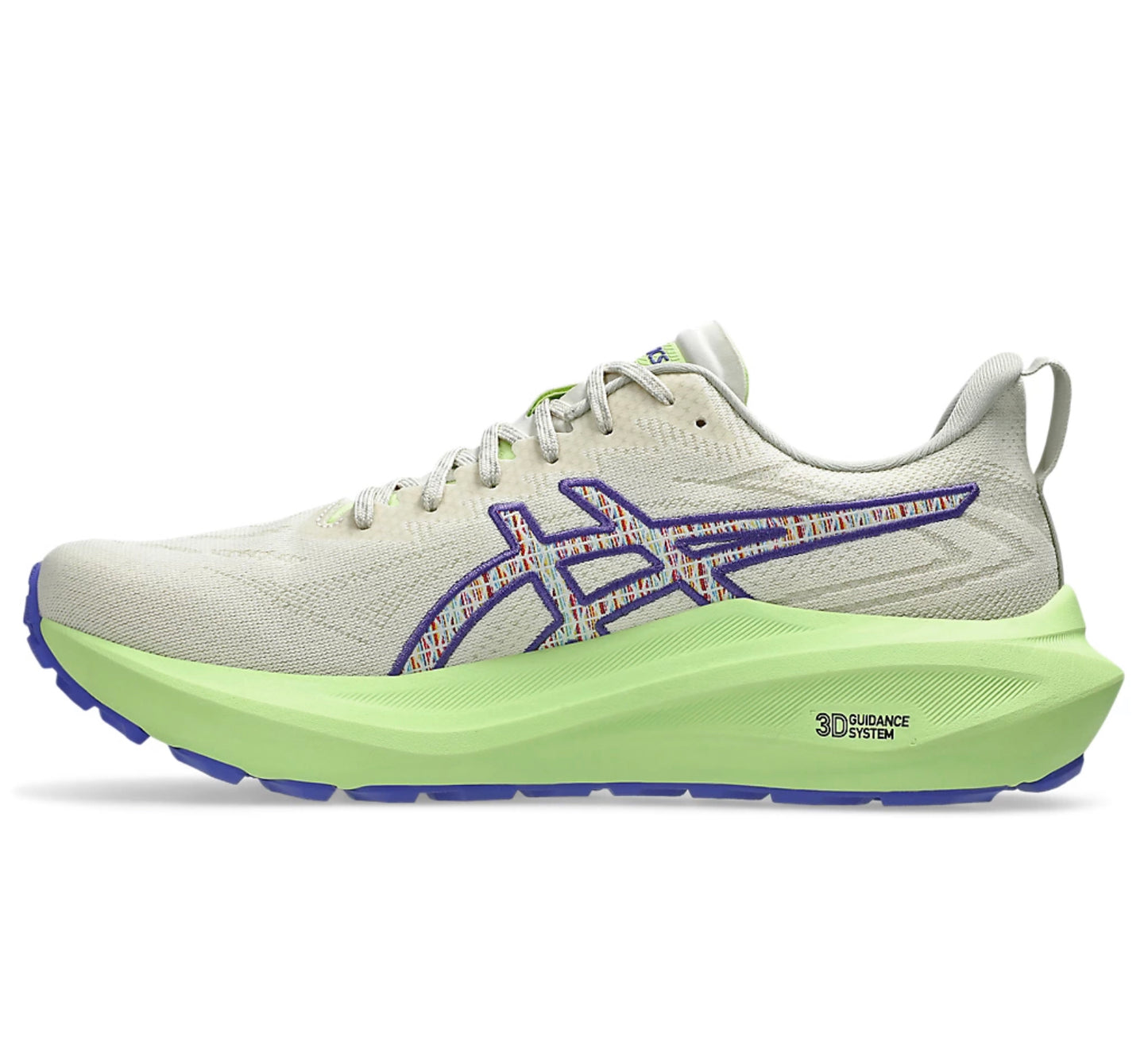 Asics GT 2000 TR