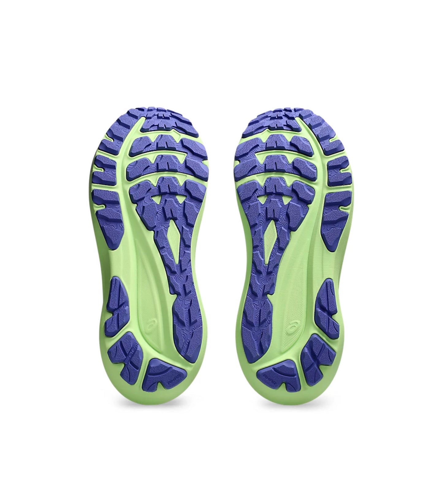 Asics GT 2000 TR