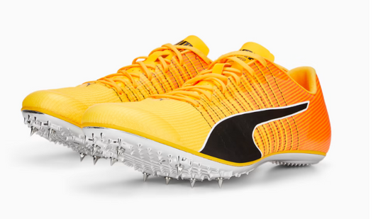 evoSpeed Tokyo Brush