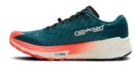 Brooks Catamount 4