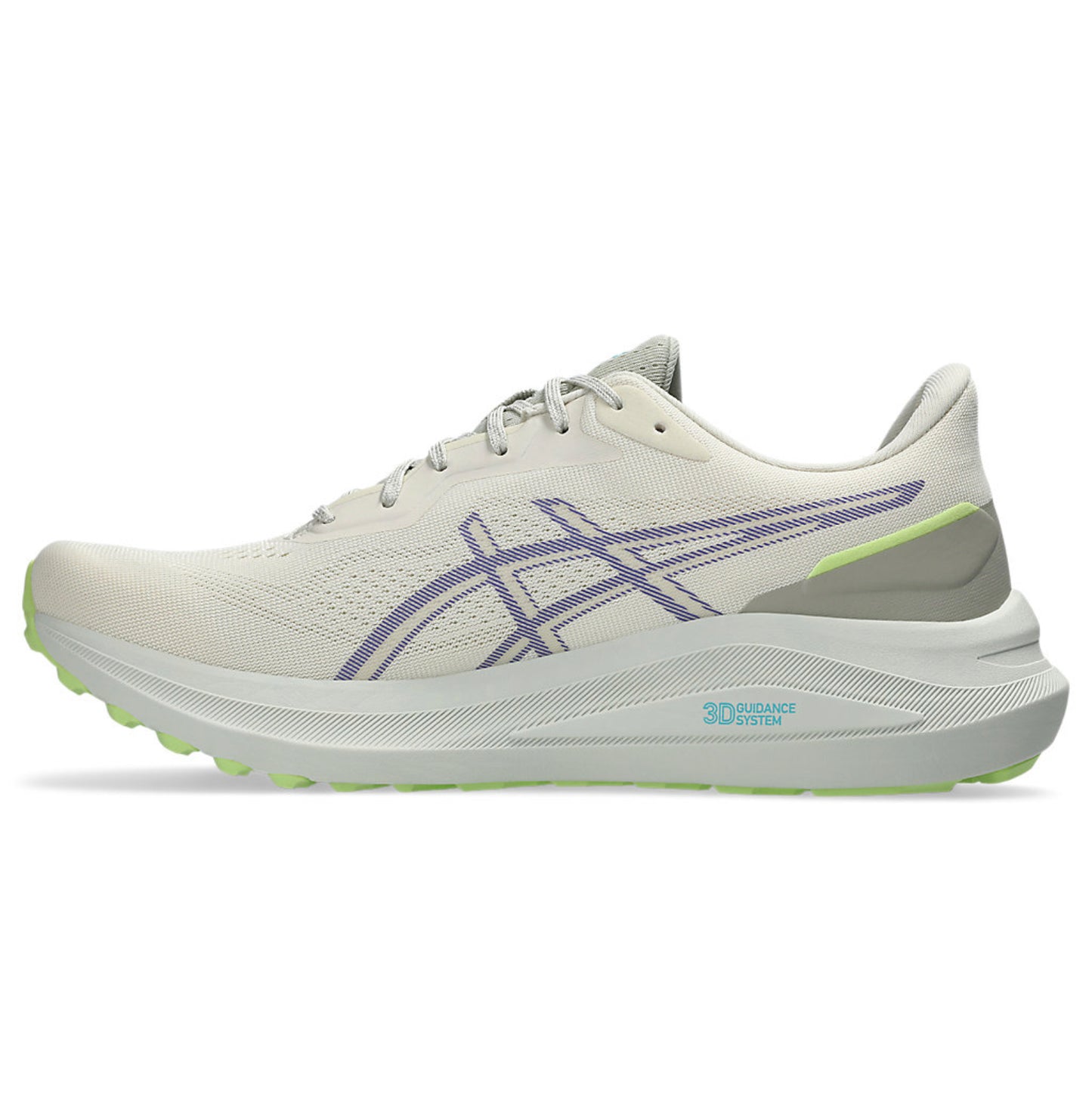ASICS GT 1000 TR