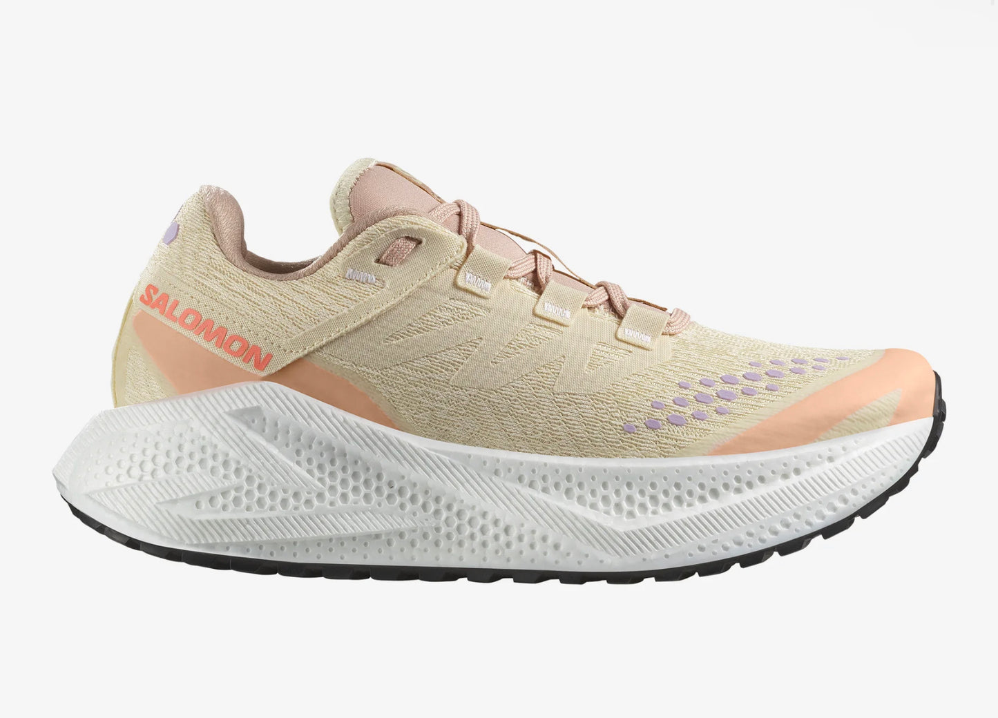 Salomon Aéro Glide 3 GRVL