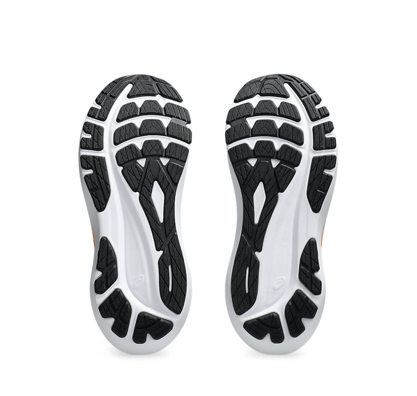 Asics GT-2000 13