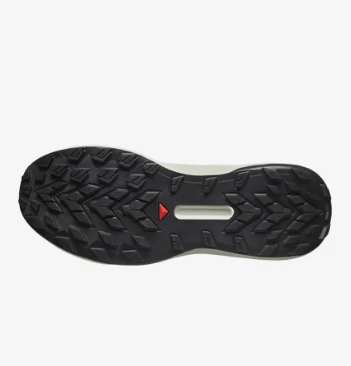 Salomon Genesis