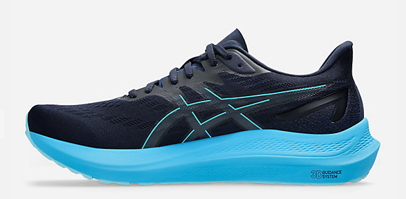 Asics GT-2000 12