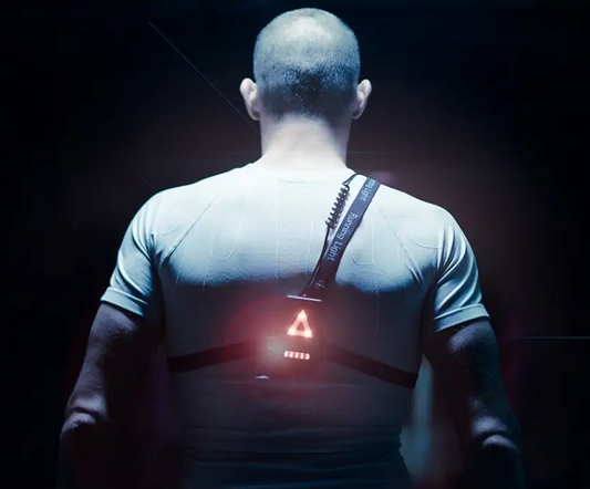 LAMPE HARNAIS DUAL LIGHT 250