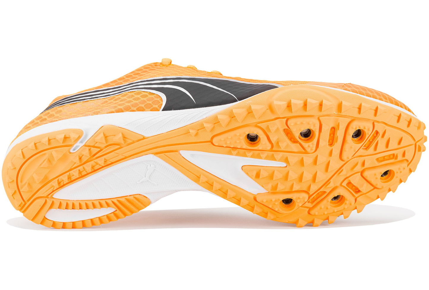 Puma evoSPEED Haraka 7 M
