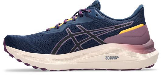 Asics GT-1000 13 TR