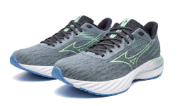 Mizuno Wave Inspire 21