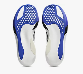 Asics Metaspeed Sky Tokyo