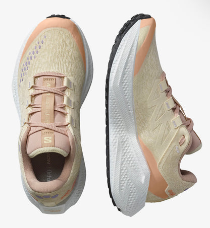 Salomon Aéro Glide 3 GRVL