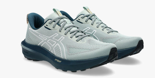 Asics GT-1000 TR