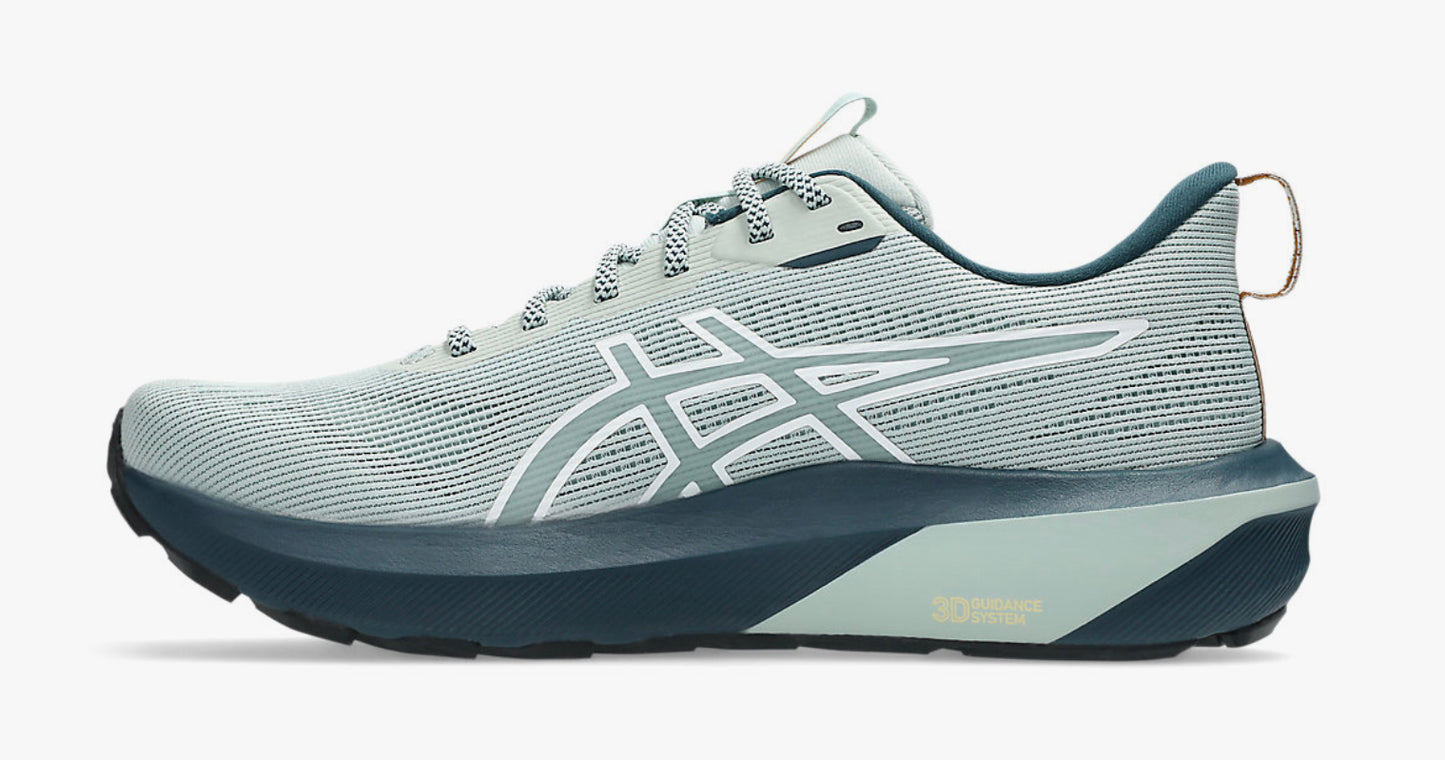 Asics GT-1000 TR