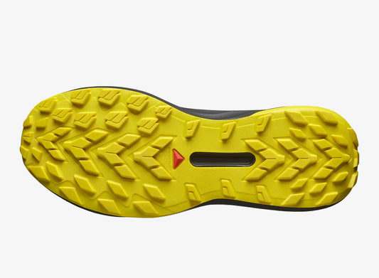 Salomon Genesis