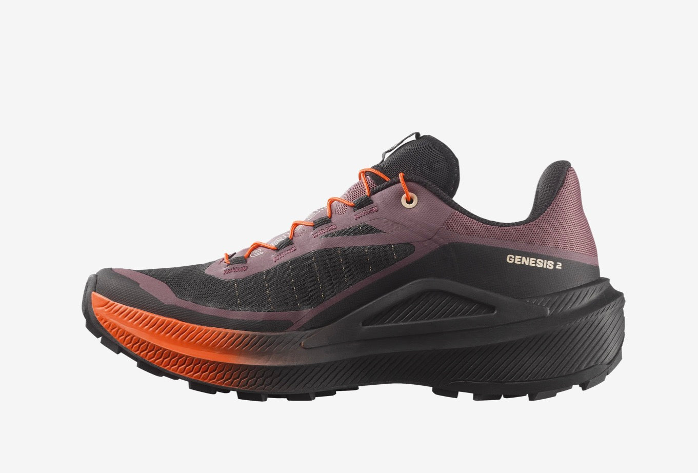 Salomon Genesis 2
