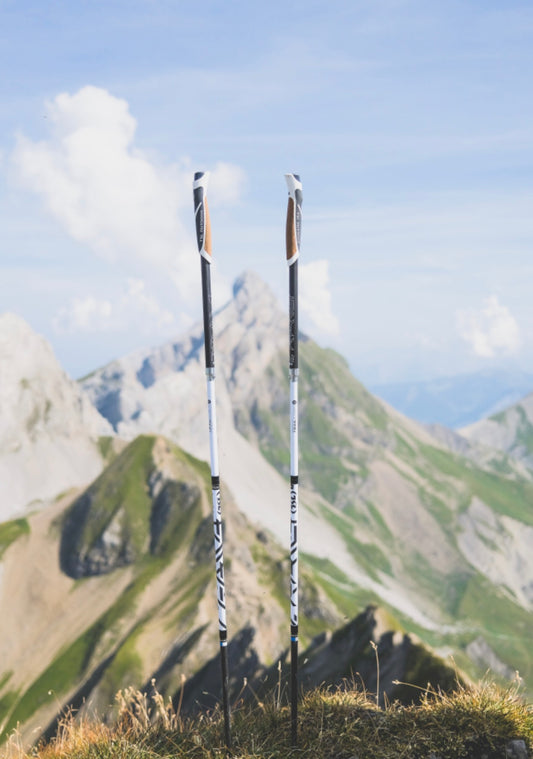 BÂTONS TRAIL ADDICT TRAIL CARBON 4 CORK