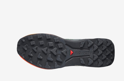 Salomon Genesis 2