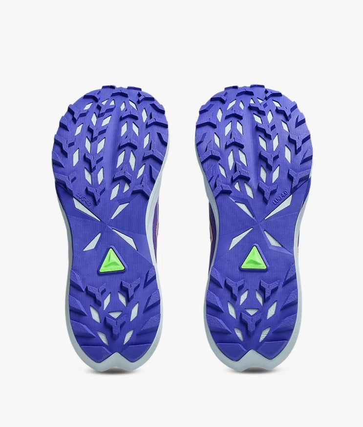 Asics Fuji Lite 6