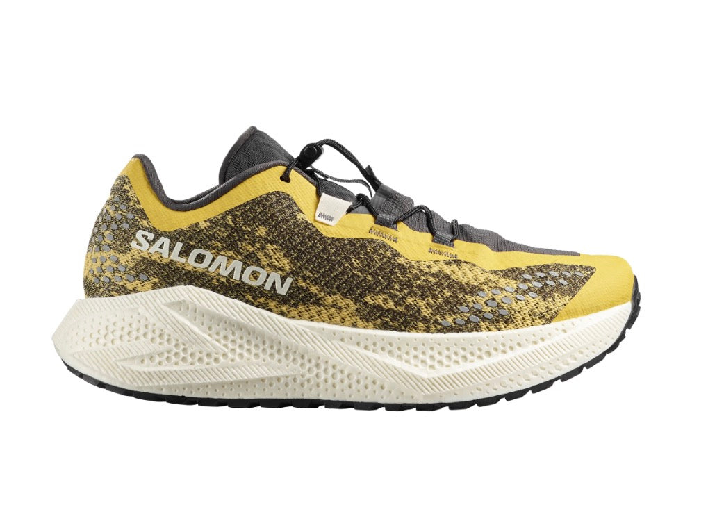 Salomon Aéro Glide GRVL 4