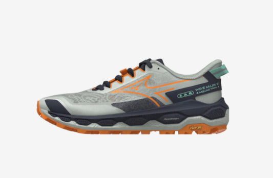 Mizuno Mujin 11