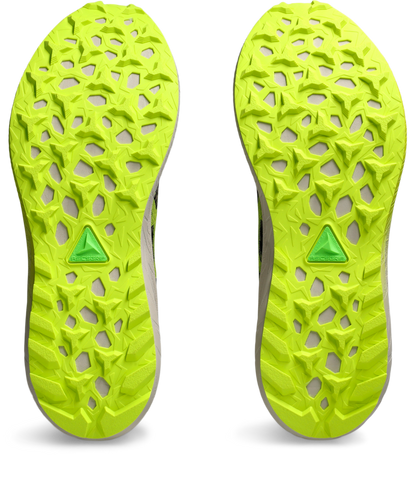 Asics FUJI LITE 5 M